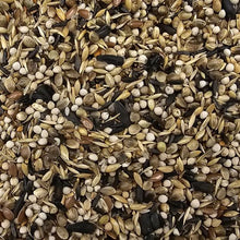 Beyers Deli Nature 97 - Goldfinches 15 kg