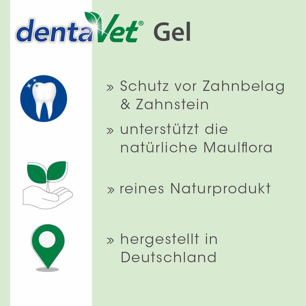 cdVet dentaVet Gel