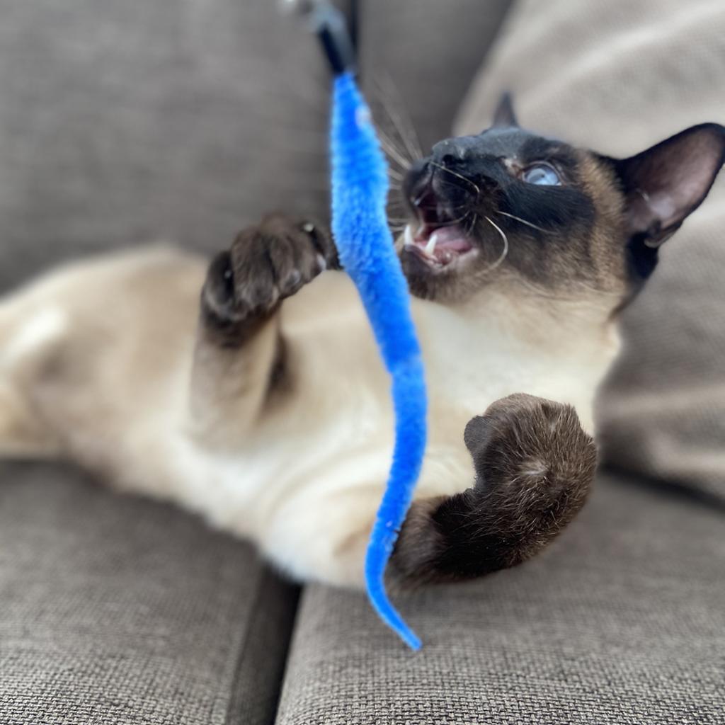 Duvo Plus Cat Toy