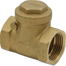 Bevo Profec Check Valve Brass Female Thread