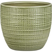 PLANT POTS MENTA