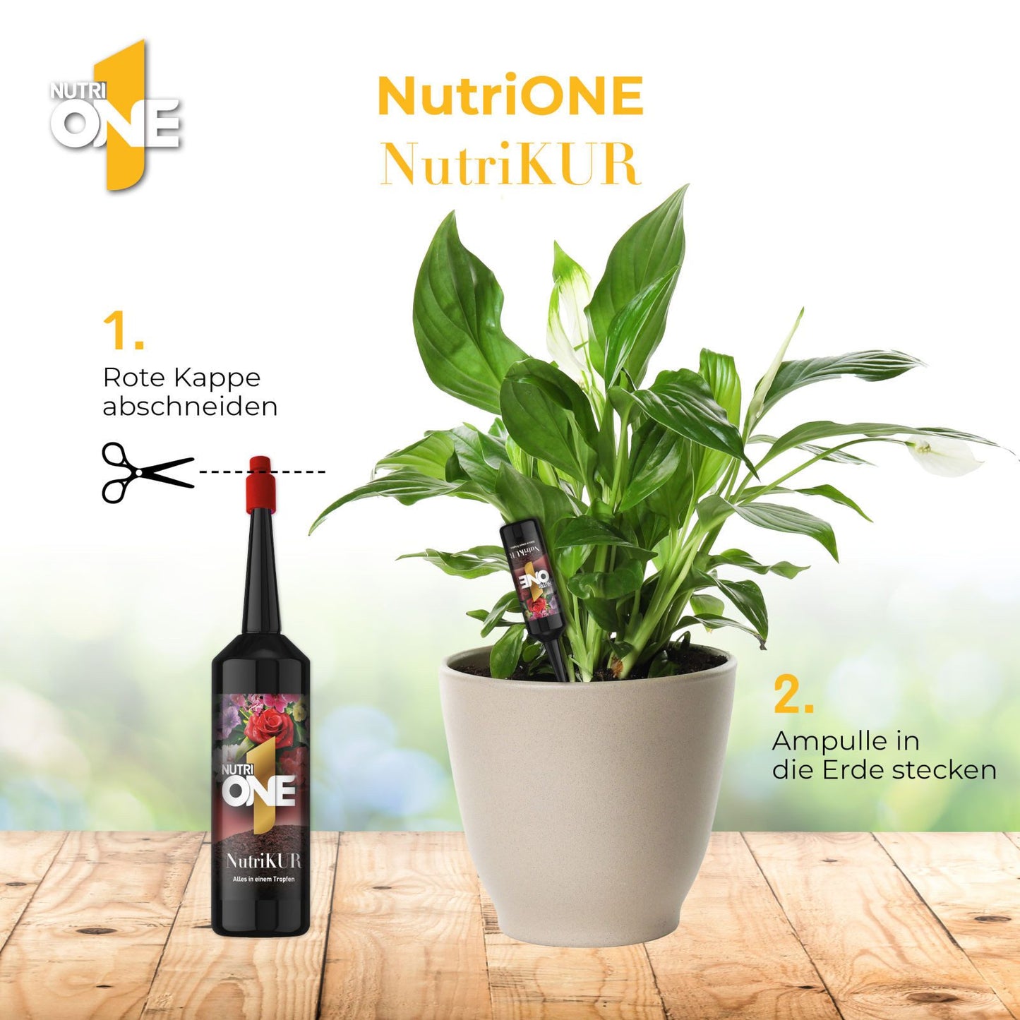 SBM Nutri One Pflanzenkur 6x32 ml