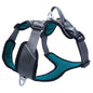 Petlando OUTDOOR HARNESS