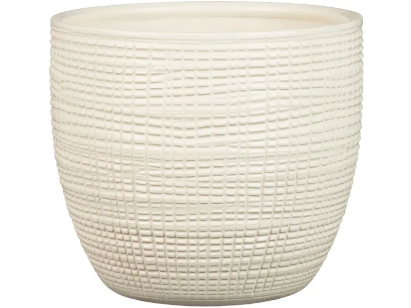 PLANTERS VANILLA
