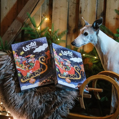 WOW Pet Limited Edition Adventskalender WOW Dog