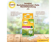 Solabiol Buchsbaumzünsler Falle Nachfüllpackung