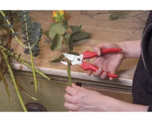 Felco 300 Ernte- und Leseschere