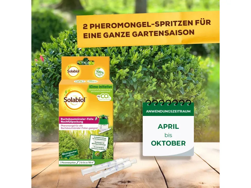 Solabiol Box Tree Moth Trap Refill Pack