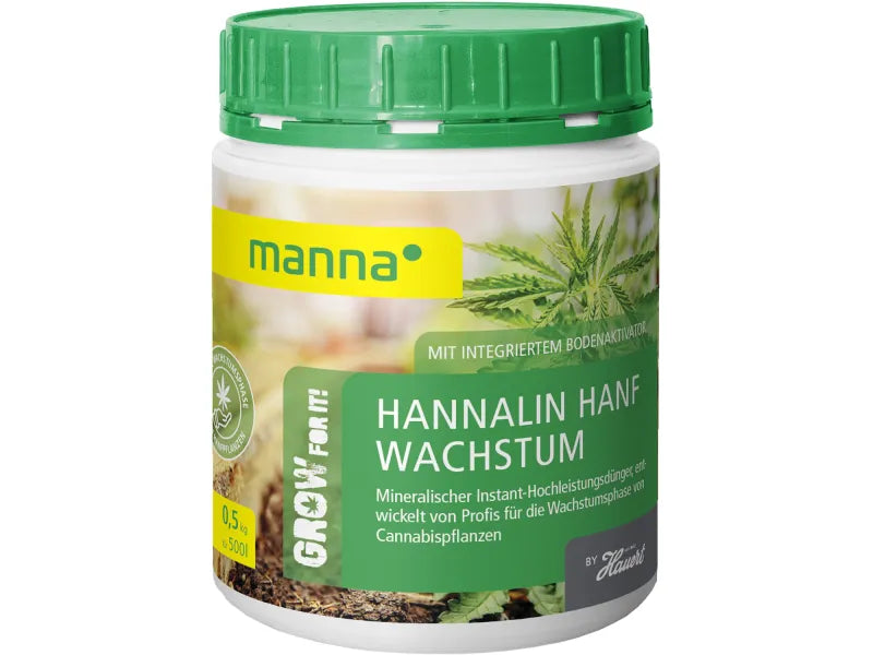 Manna HannaLin Blüte