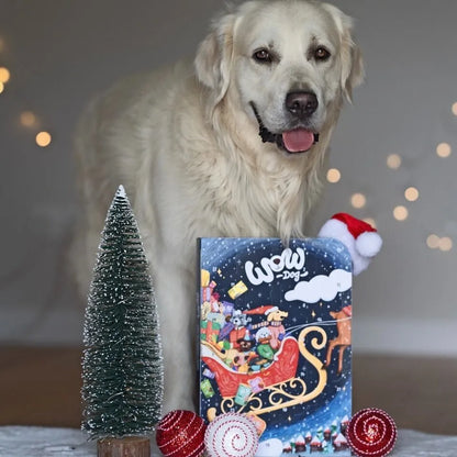 WOW Pet Limited Edition Adventskalender WOW Dog