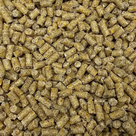 Spinne P 40 - Taubenprotein 20 kg