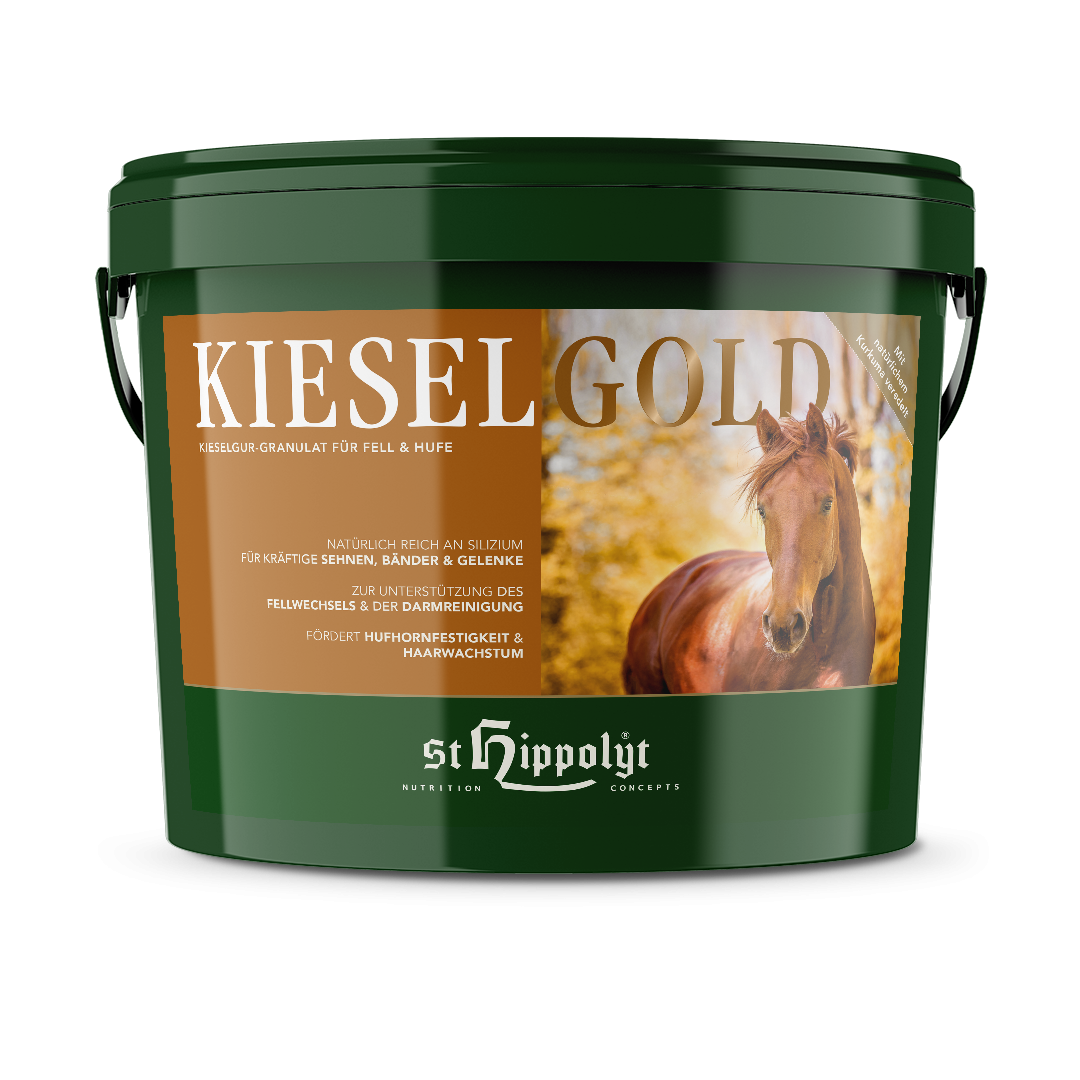 St.Hippolyt KieselGold 4 kg
