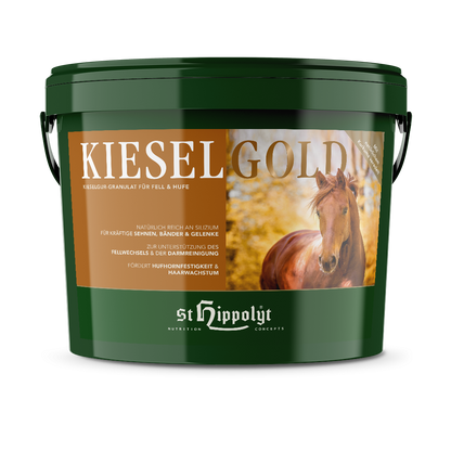 St.Hippolyt KieselGold 4 kg