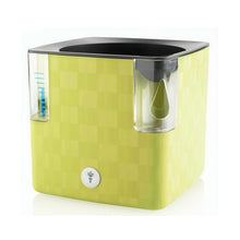 Flower Lover COOBLE Herb Pot with Irrigation System