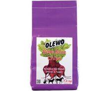 Olewo Beetroot Chips