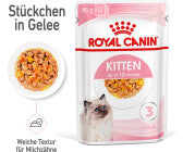 Royal Kitten in Jelly