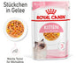 Royal Kitten in Jelly