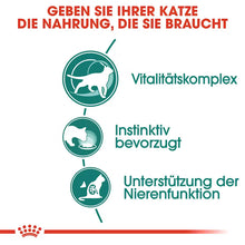 Royal Canin Instinctive +7 in Gravy
