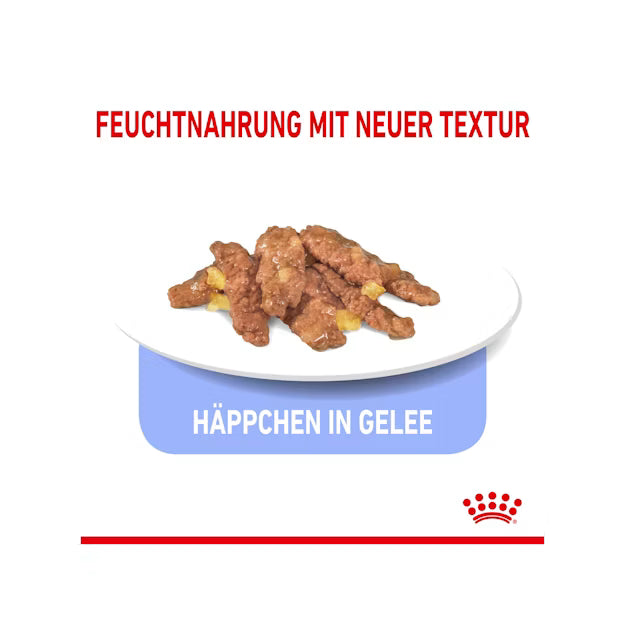 Royal Canin Indoor Sterilised in Jelly 85g