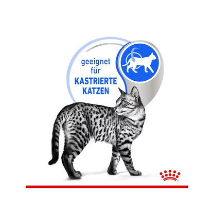 Royal Canin Indoor Sterilised in Jelly 85g