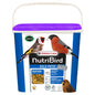 Eggfood Forest Bird