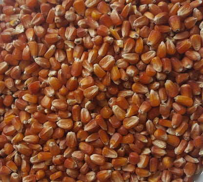 Agrarmarkt Engert Roter Mais 5 kg