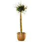BioGreen Thermoplus Stammschutz / Micro-Vlies-Mantel STA 100-030 (100x30cm)