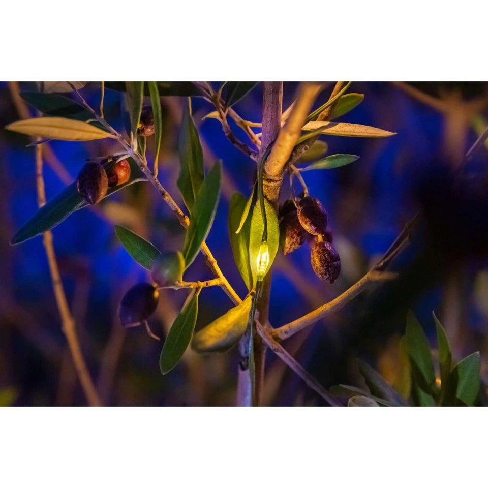 Weihnachtsbaum Lichterkette Innen und Außen NewTec 480er