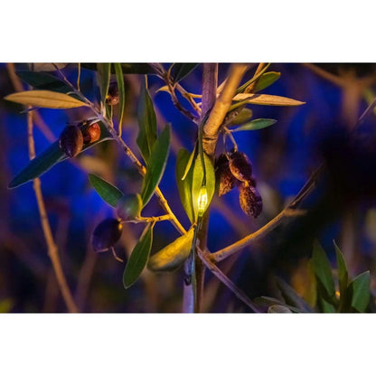 Weihnachtsbaum Lichterkette Innen und Außen NewTec 480er