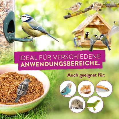 Frunol Delicia Vivaldi InsektenPick