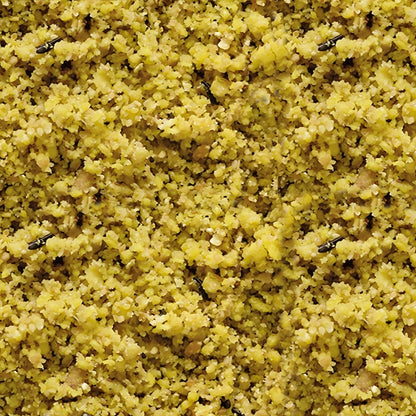 Versele Laga Gold Patee Gelb feucht
