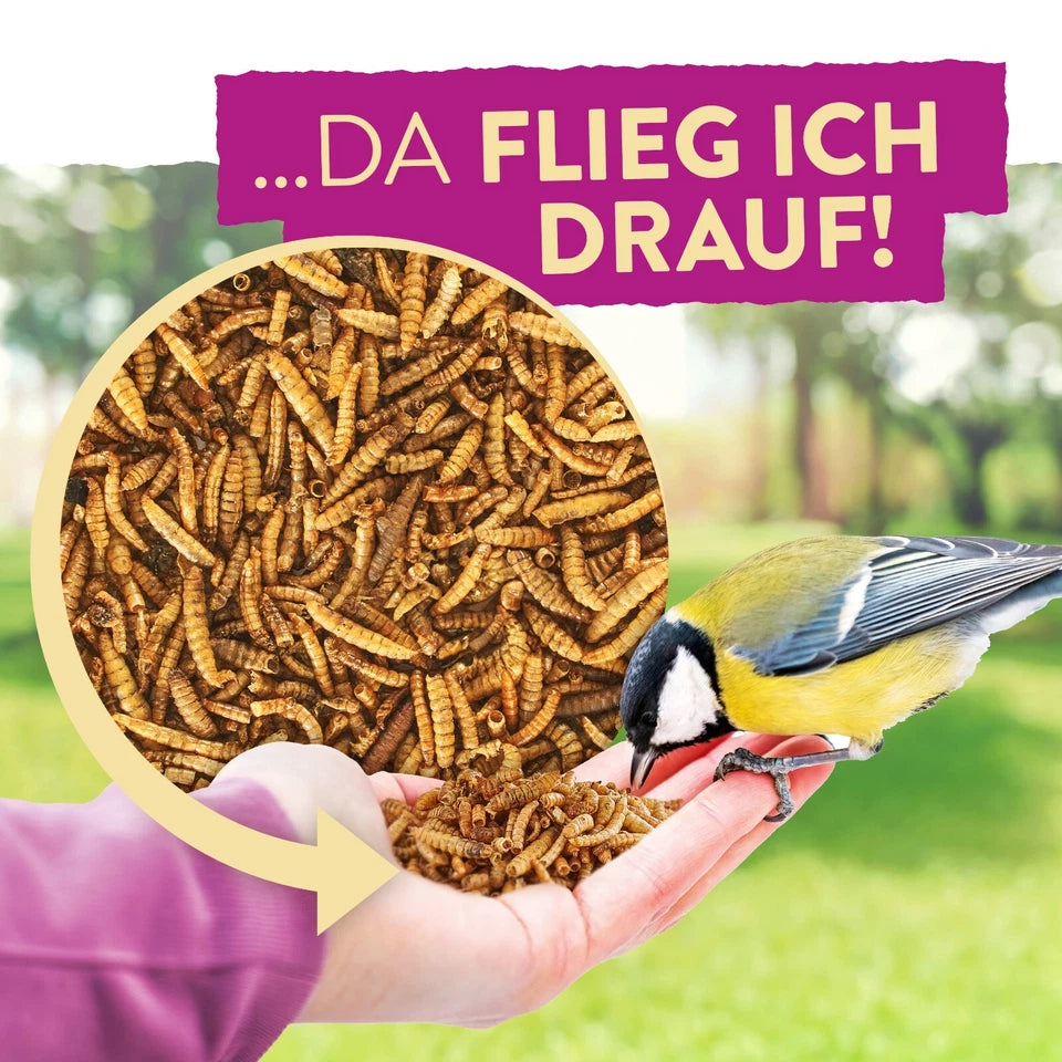 Frunol Delicia Vivaldi InsektenPick