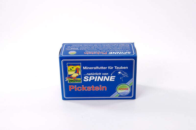 Spinne Pickstein