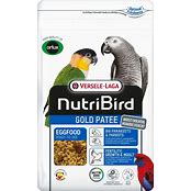 Gold Patee Large Parakeet / Parrot