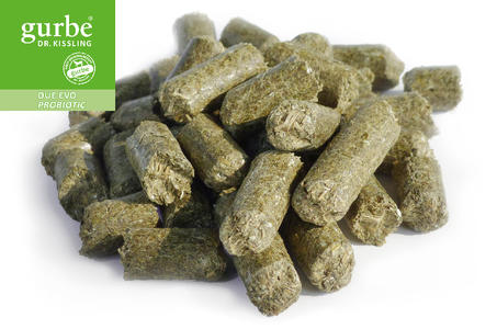 Gurbe DUE EVO PROBIOTIC Green 20 kg